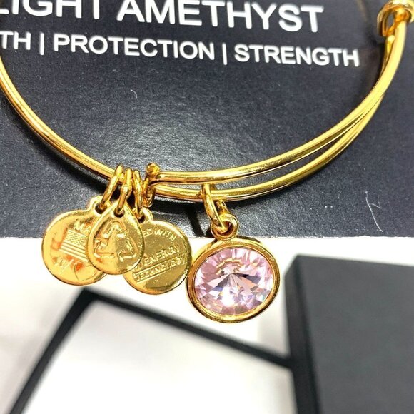 Alex and Ani Light Amethyst June Birthstone Charm Bracelet Yellow Gold Finish - Picture 3 of 5